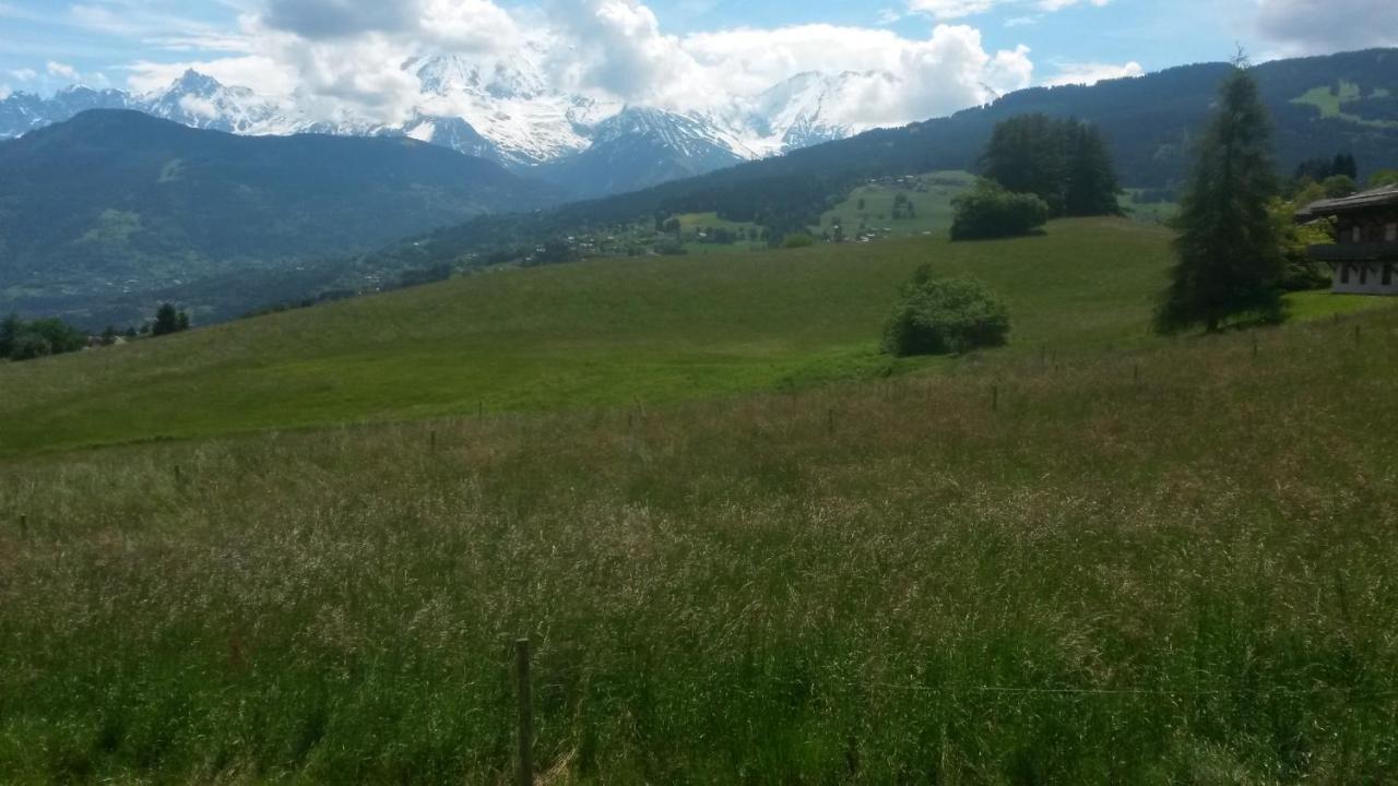 Rez de chaussée très calme vue Mont-Blanc Combloux Habitación foto